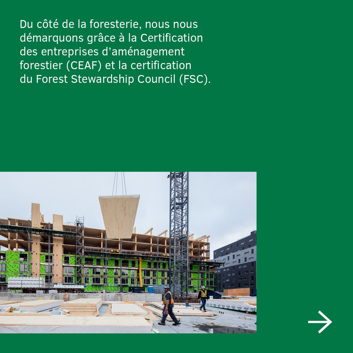 NordicStructure's tweet image. La capsule environnement de la semaine : Certification LEED 🌎🌲

#LEEDCertified #C2CCertified #FSC #NGBSGreen #LBCcertified #wellcertified