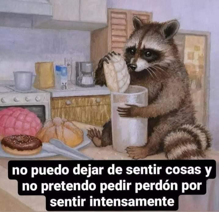 Y ni modo.