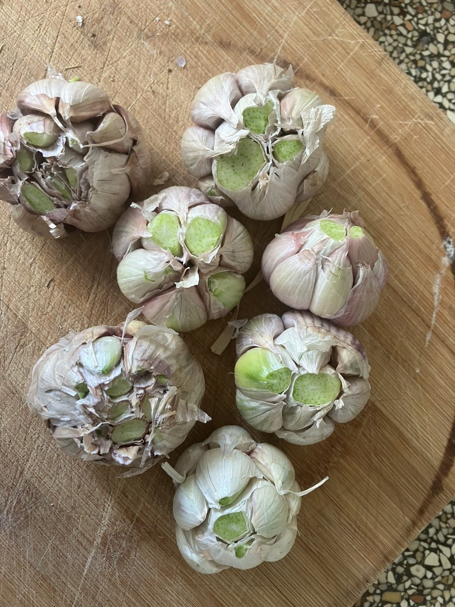 Knoflook uit eigen tuin en knoflooksoep.