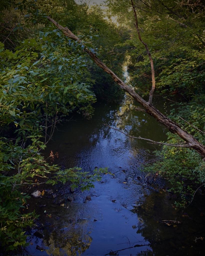 GOBLINC0RE's tweet image. 