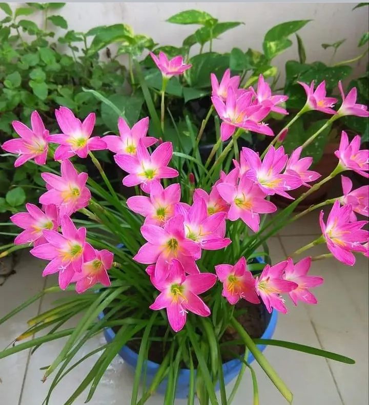 #PoesíaCantoALaHumildad
<a href="/NicolasMaduro/">Nicolás Maduro</a> <a href="/Mippcivzla/">mippci</a> <a href="/VTVcanal8/">VTV CANAL 8</a> <a href="/PartidoPSUV/">PSUV</a> <a href="/Neyda21708001/">Neyda</a> <a href="/neydaf1/">neydaf</a> <a href="/1412Yolis/">💋YolysParra💋#Psuv|🇻🇪🇨🇺🇨🇴🇷🇺53.7K</a> <a href="/AdrianOiralyh/">Hilario π</a> <a href="/GregoriaBriceo6/">Hija del Rey de Reyes 🙌🤗💕</a> <a href="/HectorReneLopez/">Rene Lopez</a> <a href="/HeyWilye/">wilyeHey</a> <a href="/instantenoti24/">INSTANTE24</a> <a href="/JoseHurtado2312/">Jose Maria Hurtado Ortega</a> <a href="/HectorRojas50/">Hector Rojas</a> <a href="/Krisbelihernan1/">Krisbeli hernandez</a> <a href="/pinahumbertoa/">Humberto</a> <a href="/edgarz1944hijos/">MIS HIJOS</a> <a href="/JuanCar7036/">😘🇻🇪Juan Carlos🇻🇪😘</a>