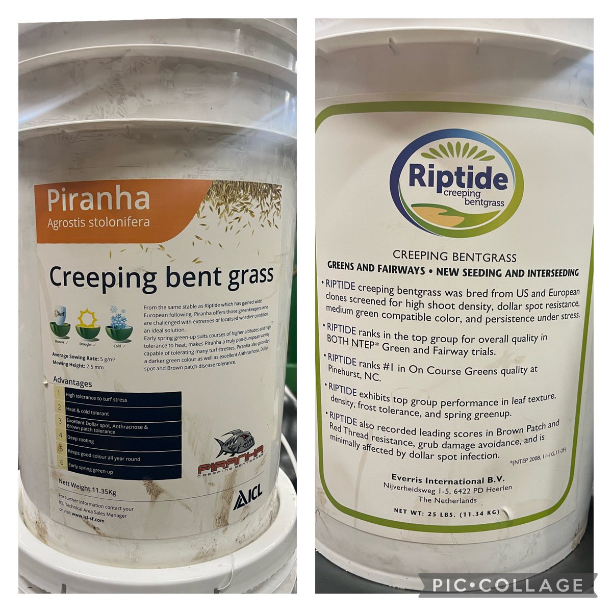 New <a href="/BurnhamBgolf/">Burnham Beeches Golf</a>   short game area seeded today by <a href="/GreasleyGolf/">John Greasley Ltd</a> irrigation primed and running <a href="/MGTurf/">Matt Gilks</a> . Green seeded with <a href="/ICL_Turf/">ICL Growing Solutions - Turf & Landscape 🇬🇧🇮🇪</a> creeping bent, app/collar/fairway a mix of <a href="/BarenbrugUK/">Barenbrug UK</a> SGT Rye Fairway &amp; <a href="/GerminalAmenity/">Germinal Amenity</a> A28. <a href="/avoncropamenity/">Avoncrop Amenity Products Ltd</a>  <a href="/MtnView_Seeds/">Mountain View Seeds</a>