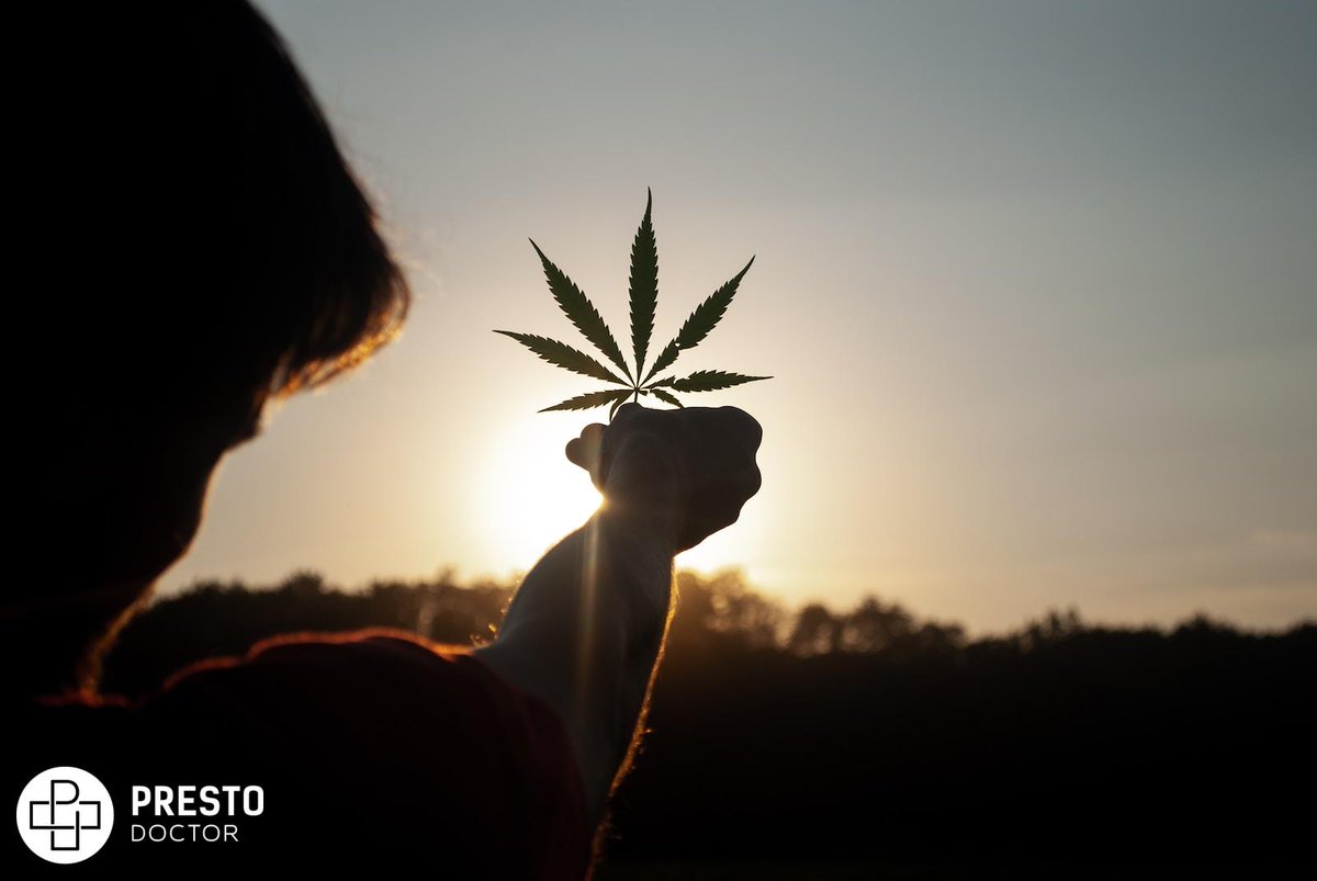 The summer heat can be unbearable, but there is a cool connection that can help you beat the heat: cannabis. Cannabis is a plant with many benefits, including its ability to help regulate body temperature.

prestodoctor.com/content/genera…
