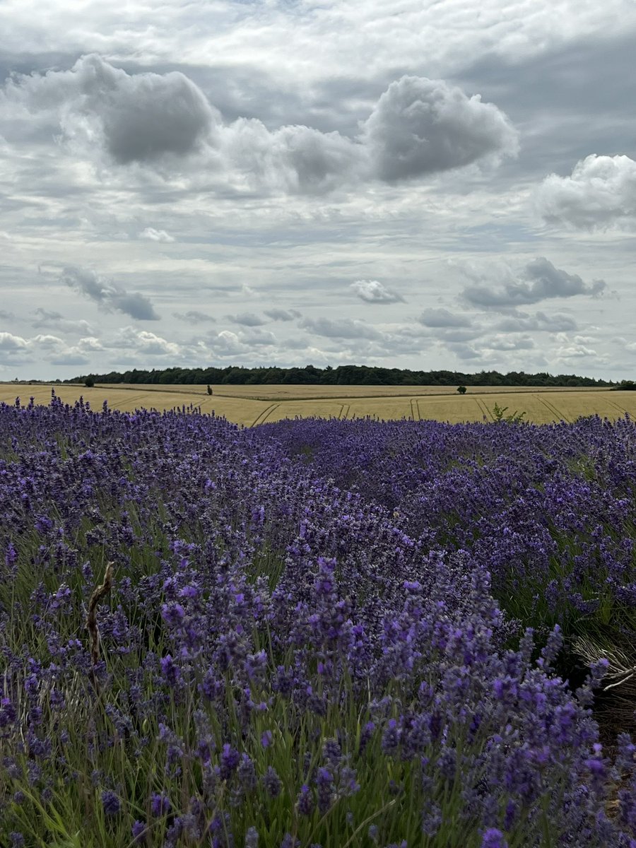 Couple of ❤️in the sky for you <a href="/itsmotherswork/">Itsmotherswork</a>