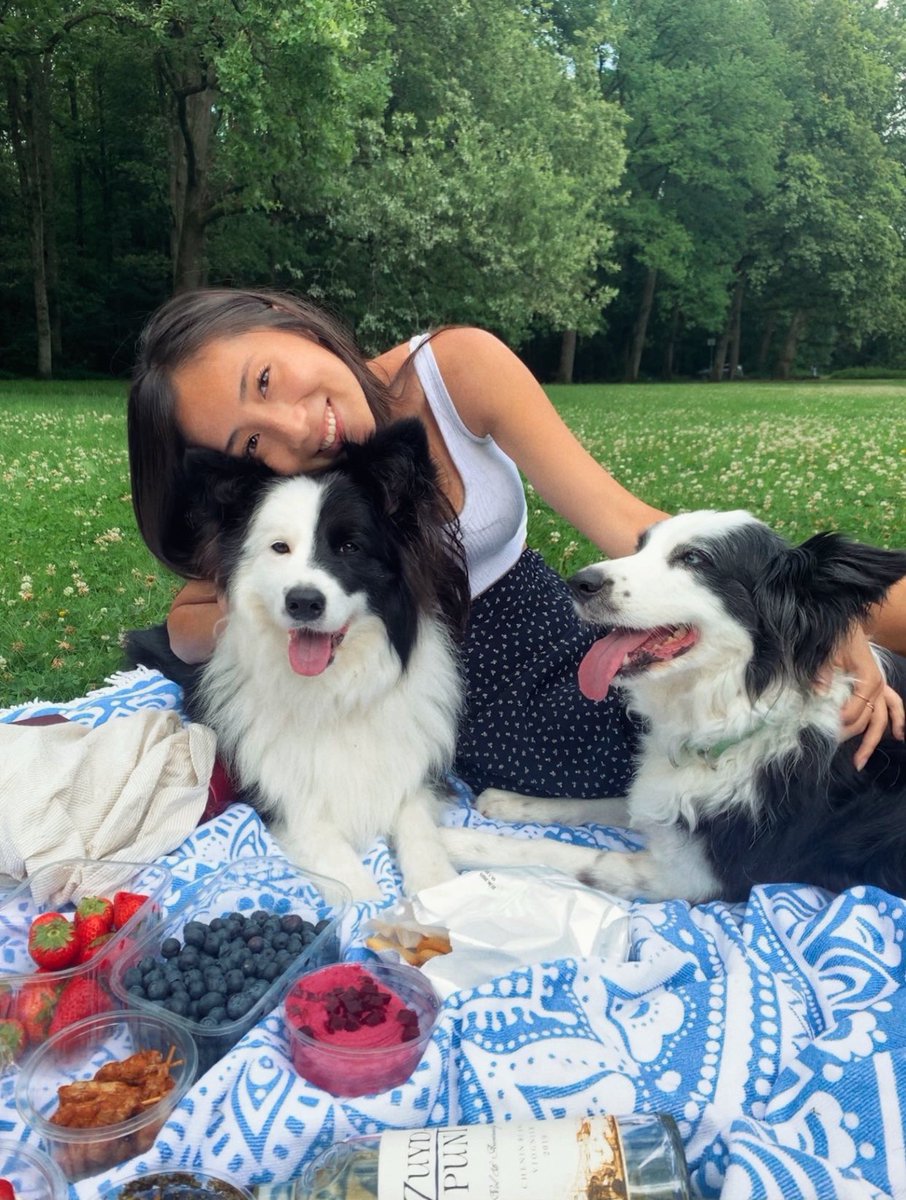 IRENE LEE | Beauty, Pet & Lifestyle UGC Creator tweet media