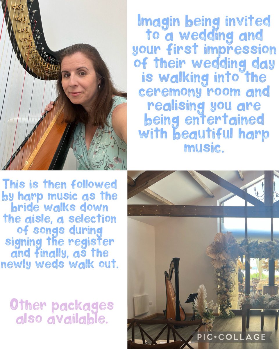 Telynores1's tweet photo. Please message me to book or find me on facebook - Swansea &amp; Gower Wedding Harpist Nia Siân Davies. https://t.co/ZyVeUbDkrT