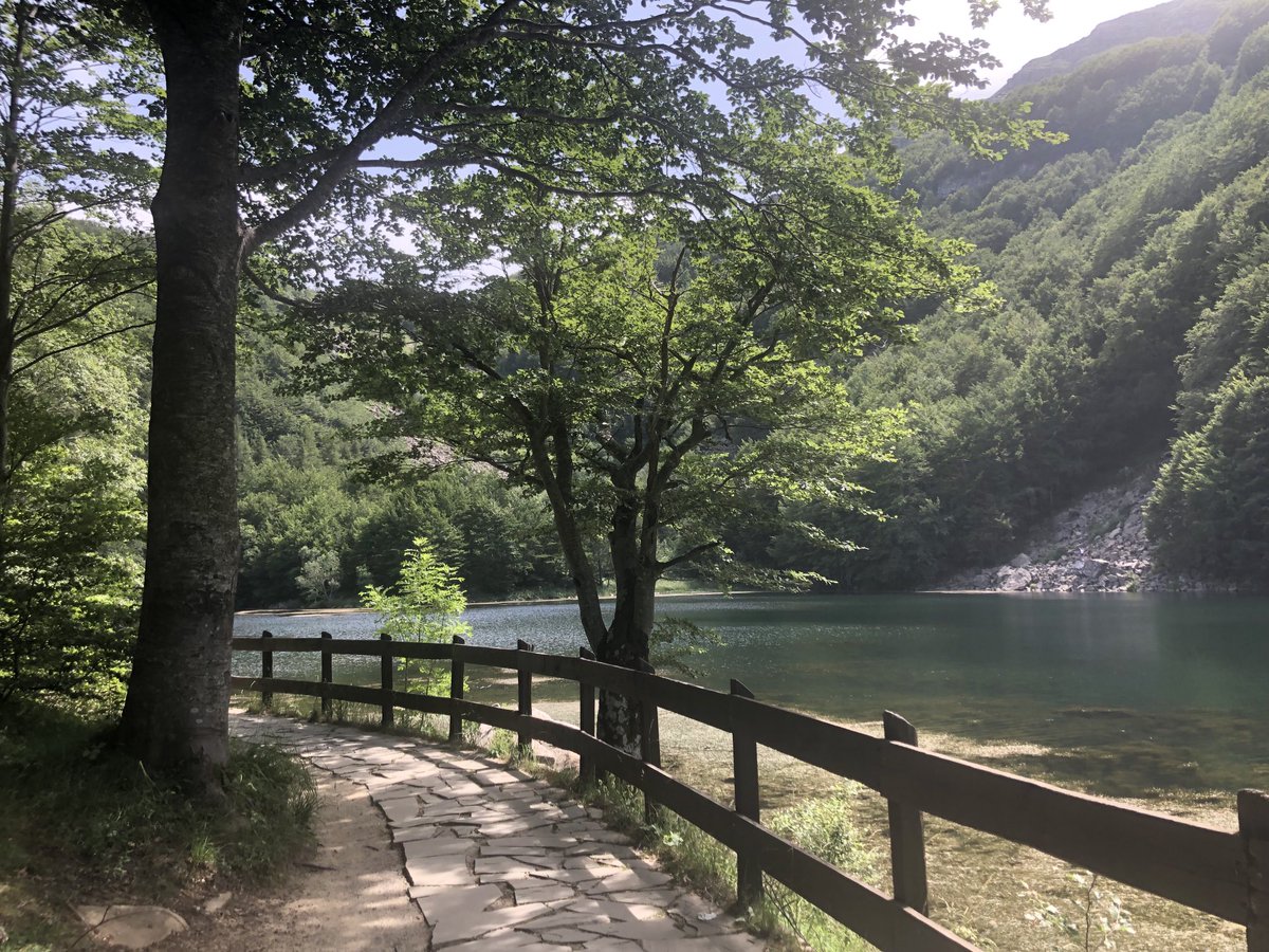 e_zucchelli's tweet photo. You would think itโs the Alps #LagoSanto #LagoBaccio #Frignano #Italy https://t.co/hjB2efI35X