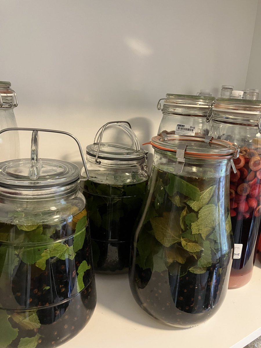 Mathias Poulsen tweet media