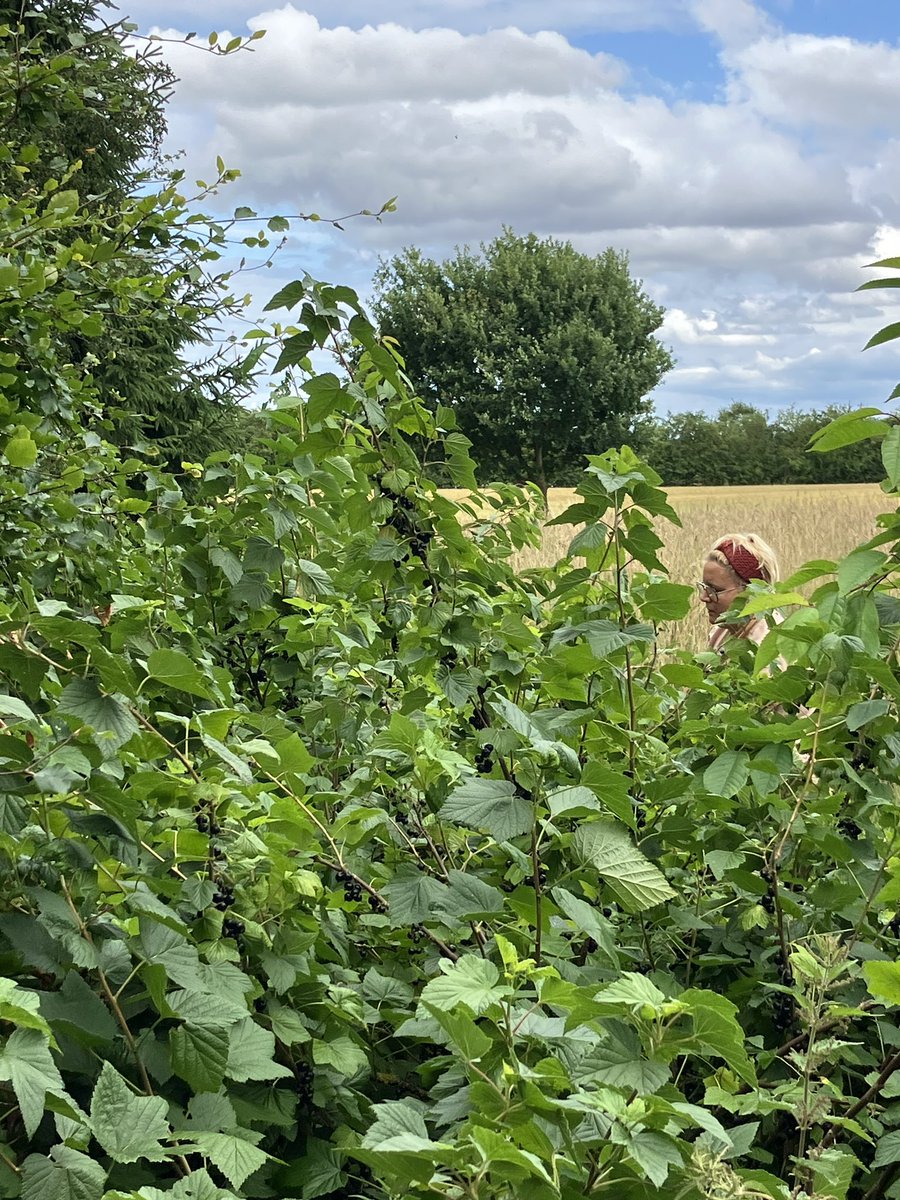 Mathias Poulsen tweet media