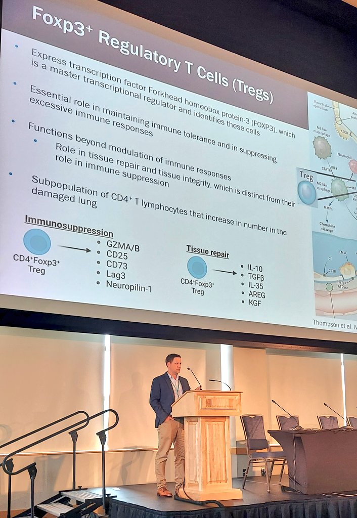 VTStemCell2025 (@stemvt) on Twitter photo Jason Mock opens Session III focused on Heterogeneity in lung immune cells and influences on regeneration. <a href="/StemVt/">VTStemCell2025</a> #VTStemcell2023 #lungimmunity <a href="/UNC/">UNC-Chapel Hill</a> Jason Mock opens Session III focused on Heterogeneity in lung immune cells and influences on regeneration. <a href="/StemVt/">VTStemCell2025</a> #VTStemcell2023 #lungimmunity <a href="/UNC/">UNC-Chapel Hill</a>