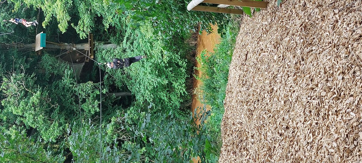 Week 2 and we're back at Go Ape with a new groups of monkeys 🐒  tomorrow we might leave them at the zoo! Great day had by all 😊