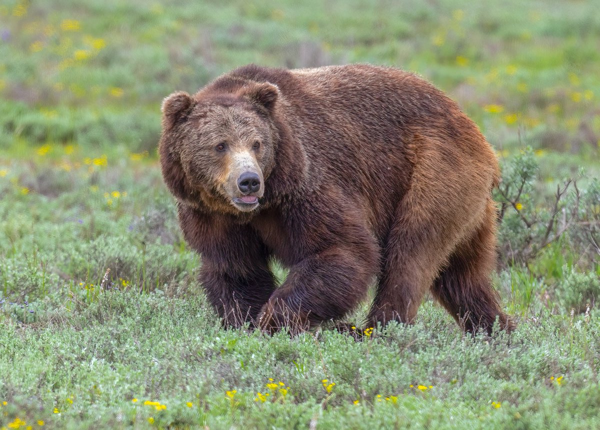 Brynn Alise tweet media