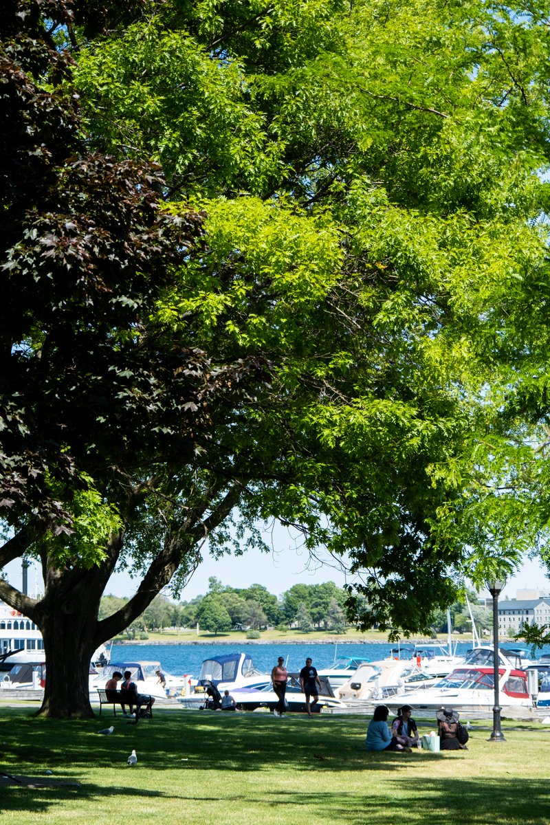 Don't miss our summer issue's cover story, "Soaking in July &amp; August", for a guide on can't-miss summer activities in Kingston. It's the best time of year to take in all our beautiful city has to offer! Find it on kingstonlife.ca. [Photo by Rob Whelan]
#ygk #kingstonon