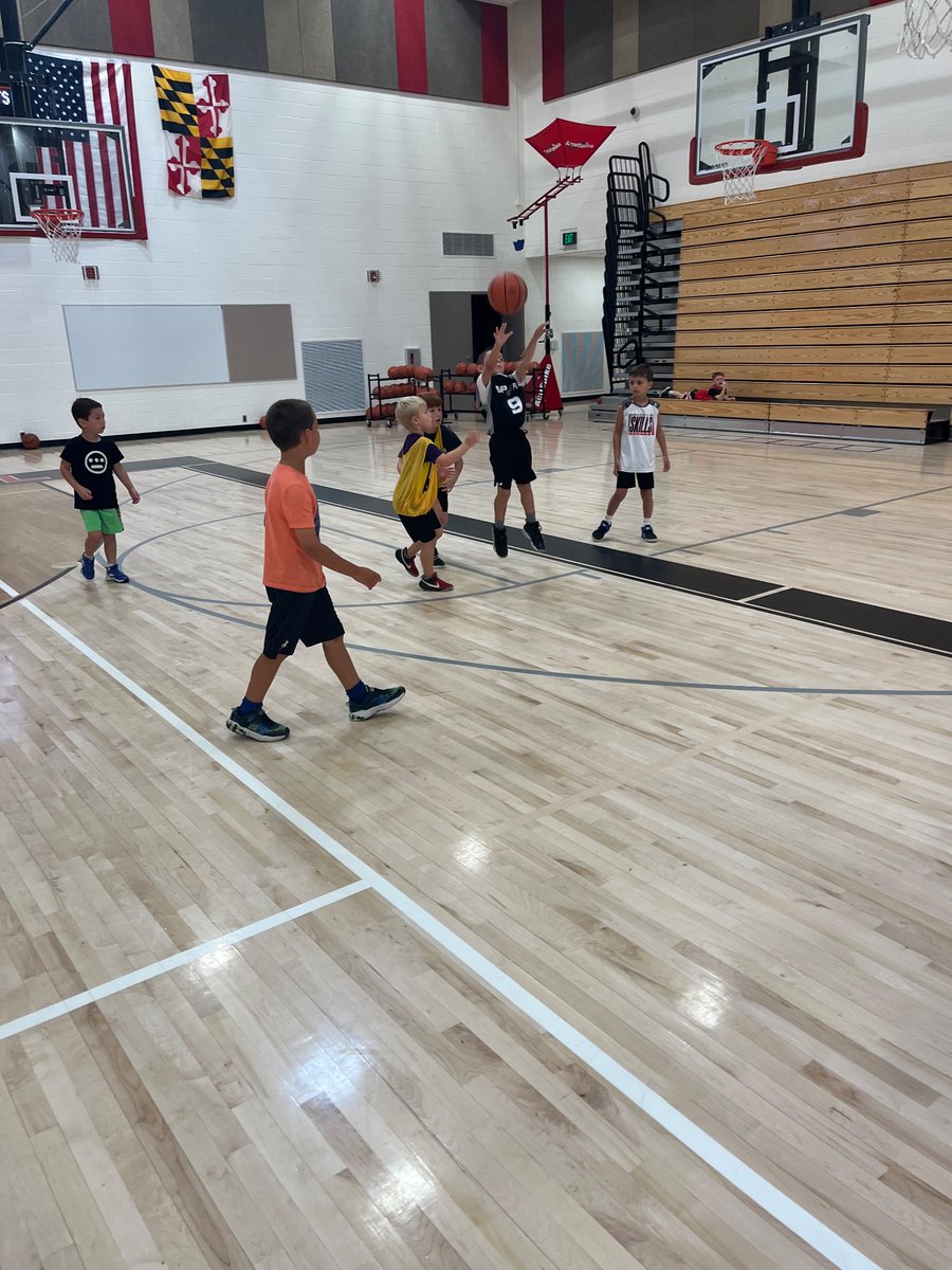 Elite Starr AA tweet media