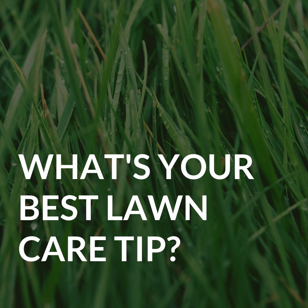 Let's hear your 🌱 secrets! Comment below...

Deborah Mason
deborah@capecodera.com facebook.com/10200221227304…