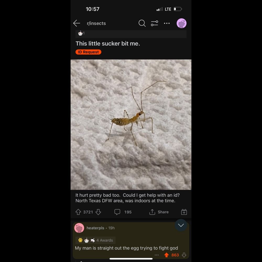 claireeinstein's tweet photo. AI will identify the bug, but it won’t give you this flawless commentary. 

https://t.co/GNBNe9gQ5f https://t.co/p4oQvyoeSn