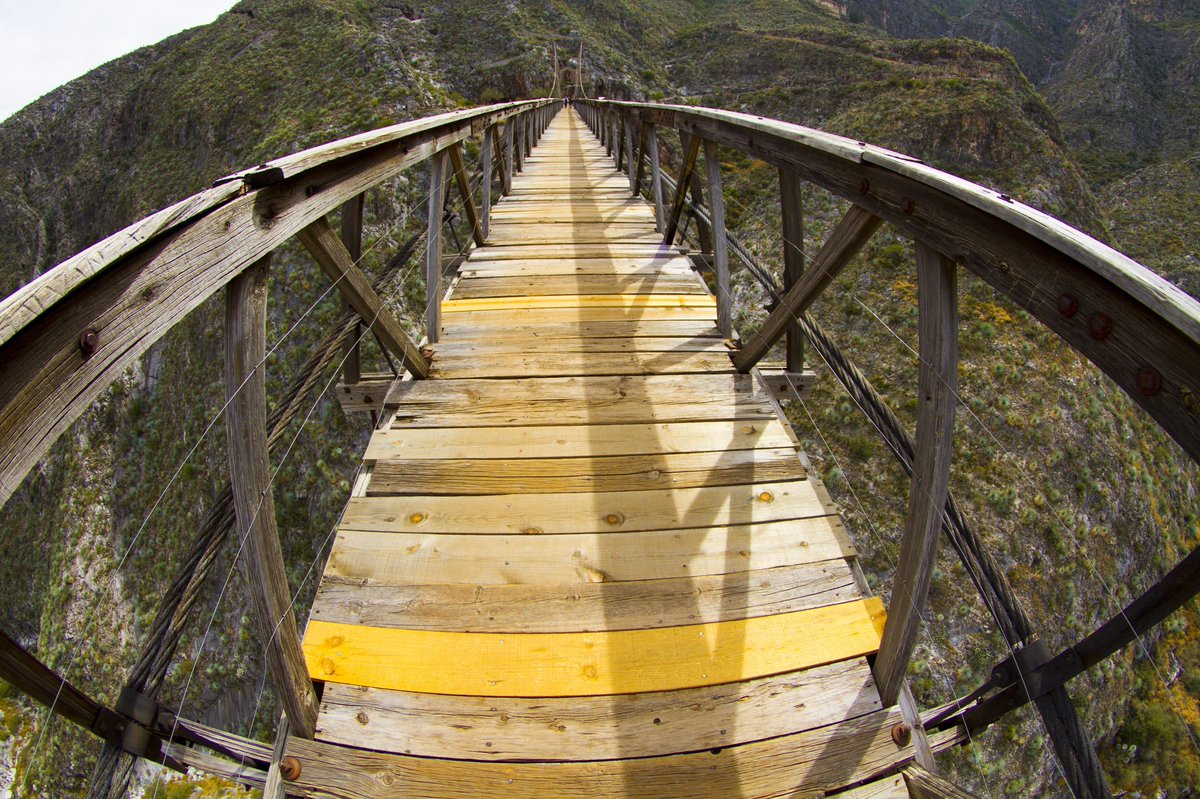 SECTUR_mx's tweet photo. ⛅️#BuenosDías desde #Mapimí, #PuebloMágico de #Durango reconocido por su herencia minera.⛏️
🚶Al visitar este destino no te puedes perder del Puente de Ojuela, construido sobre un barranco de casi 100 metros de altura.😱
¡Te va a encantar!🤩
#MéxicoEsTurismo🇲🇽 #AlViajarSumas ✈️ https://t.co/zFNNOpZi3W