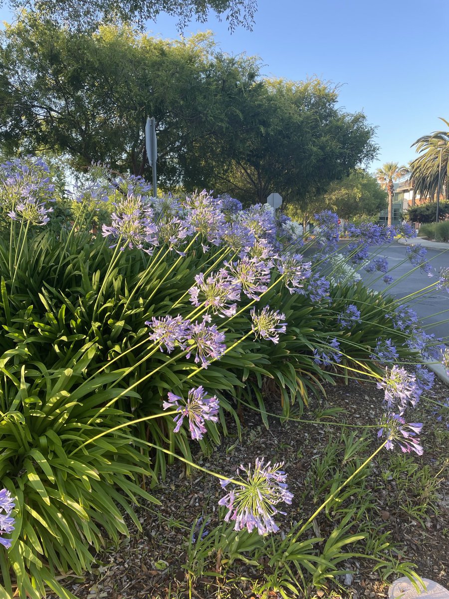 Catherine Bonner tweet media