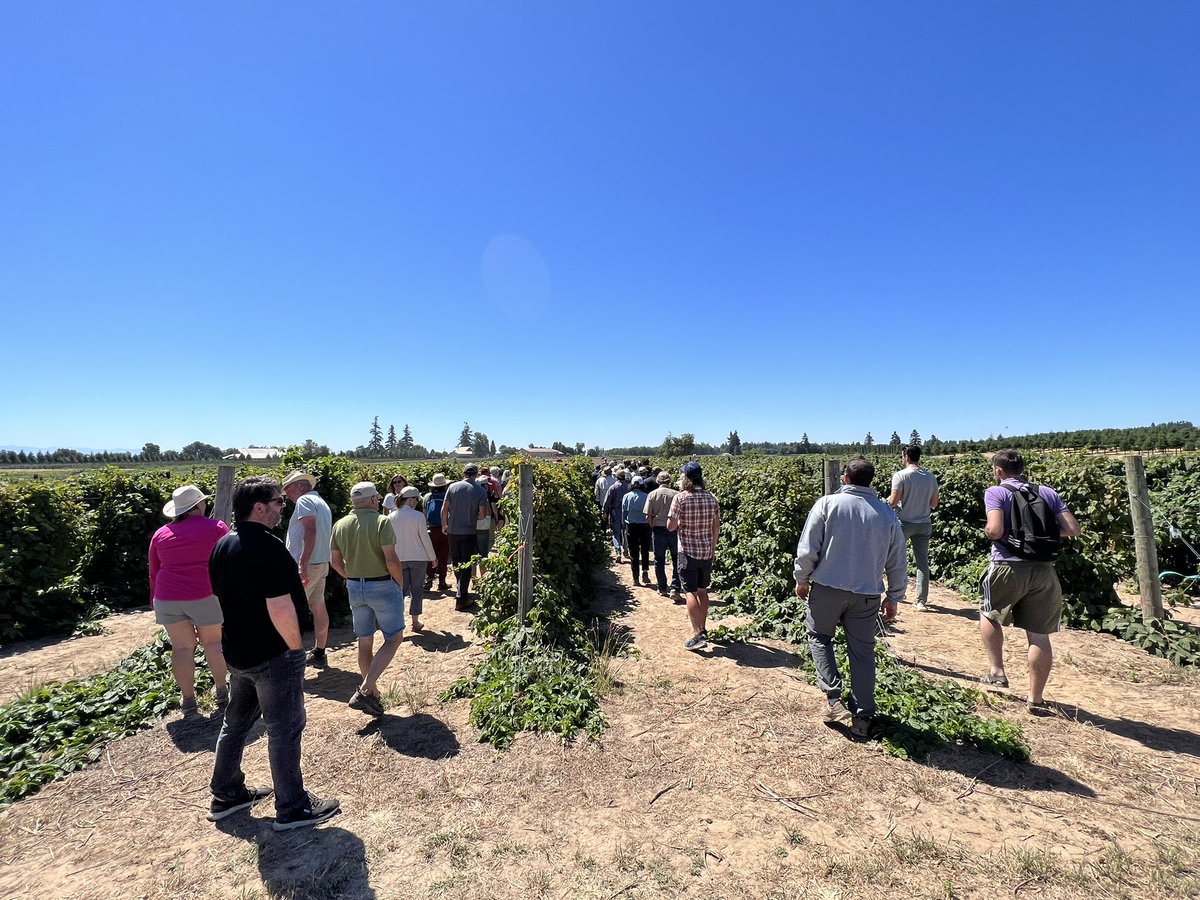 calstrawberries's tweet photo. Scott Lukas and Amanda Davis speaking to two-bus loads of an ISHS conference attendees from 24 countries. Tour organized by David Bryla (USDA-ARS). #NWREC https://t.co/vnwTk8gUU0
