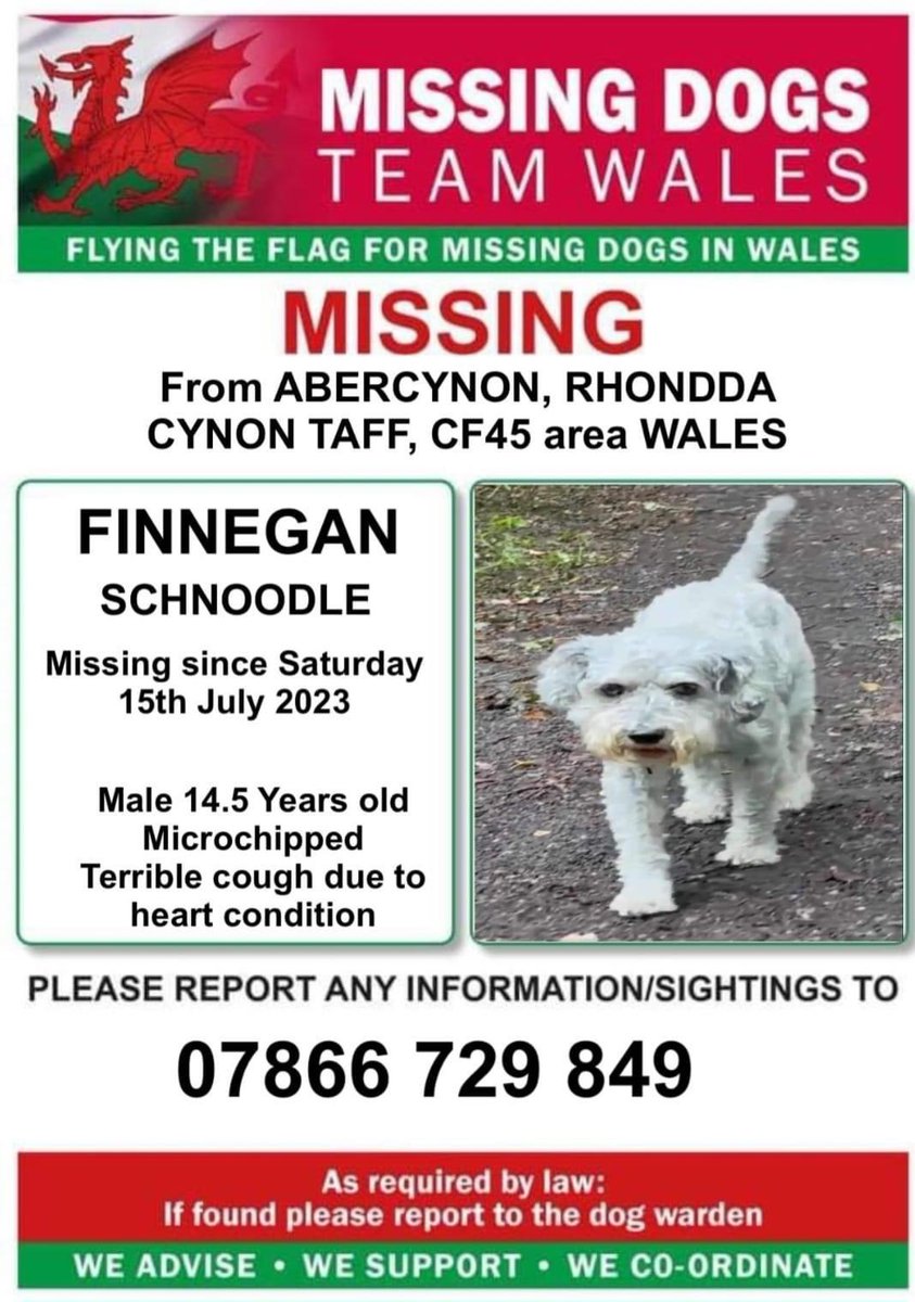 rosiedoc666's tweet image. ‼️URGENT SHARES / SIGHTINGS NEEDED ‼️

♨️FINNEGAN 14.5YRS OLD HAS A SERIOUS HEART CONDITION♨️

MISSING FROM #ABERCYNON AREA #RCT #CF45 
15TH JULY 23 
PLS  LOOK OUT FOR HIM HE IS WELL OVERDUE HIS MEDS NOW 🆘 

facebook.com/groups/1919091…

@juliagarland73 @JacquiSaid @thedogfinder