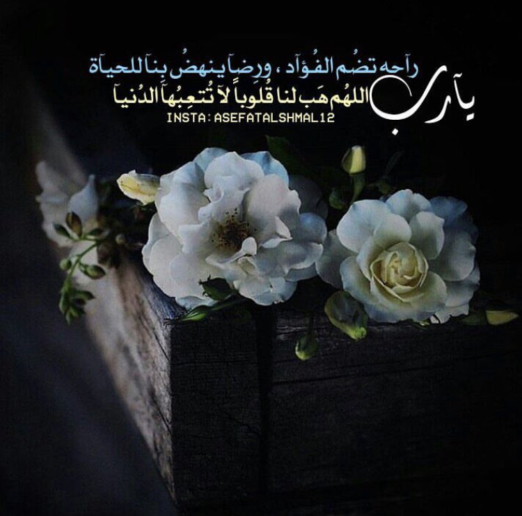 #تصميمي
#حلم_الأميرات_للدعم
