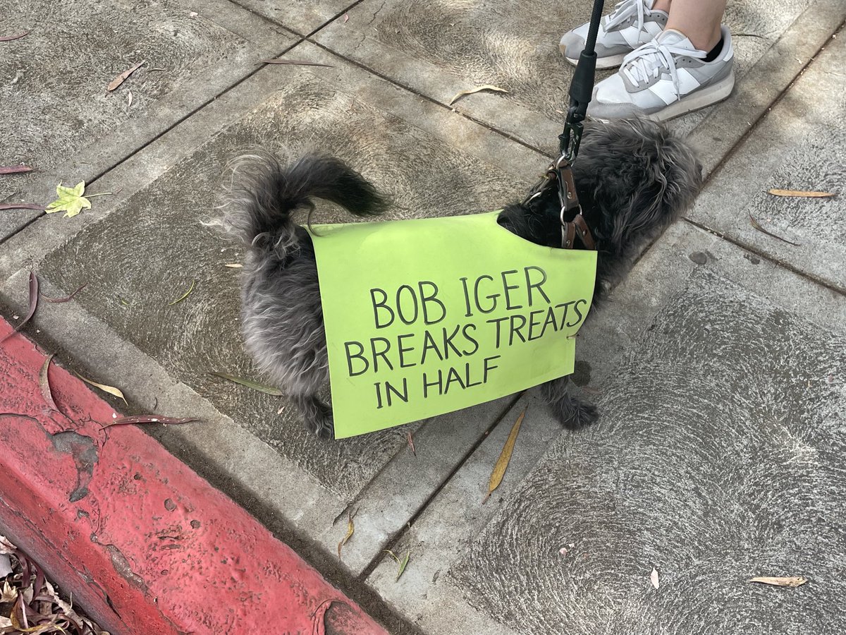 lalabehr's tweet photo. Favorite #PicketSign. #SagStrike #SagStrong #WGAStrike #WGAStrong https://t.co/VUZboNMIOS