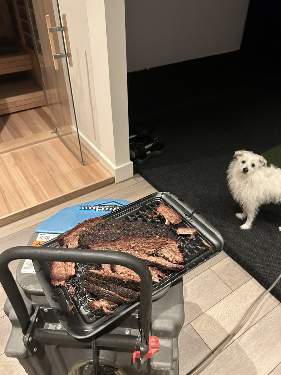 Keyboard Monkey -KBM- tweet media