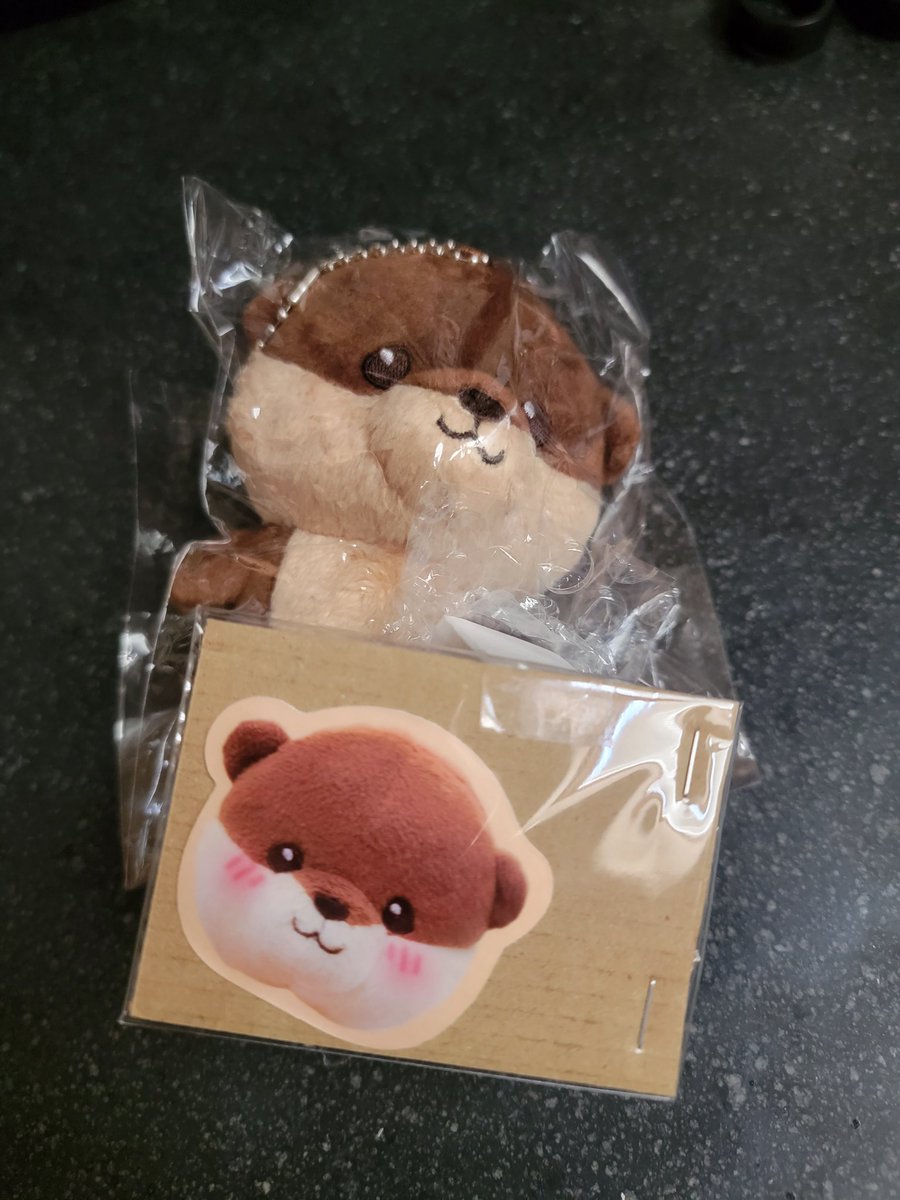 riize_taro_1125's tweet photo. 今朝ポストを見たら、可愛いショショロが届いてた❤️🦦 #SHOTARO #Shoshoro @nyanyatar0merch https://t.co/CAmv003gSc