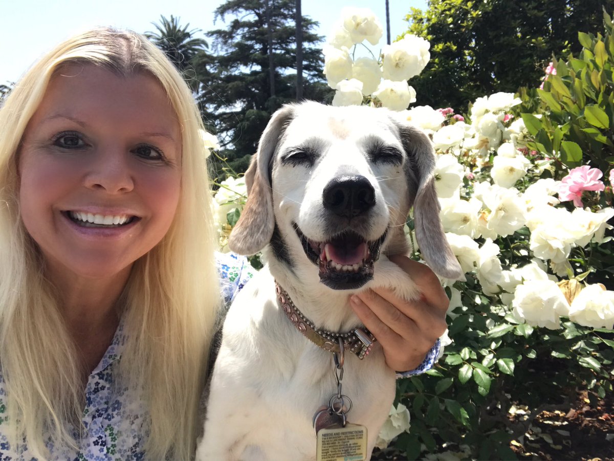 Czechmodel's tweet image. Please pray for my beagle and best friend. 🙏🏻 She is 14.5 years old and struggling with anal gland carcinoma. Her biggest tumor is the size of a golf ball. The last couple of nights have been rough for sweet Emily. I appreciate your love! ✨🤍✨

#emilythebeagle #prayers…