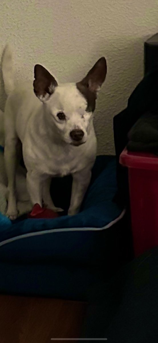 𝔻𝔼𝔸𝔻™ tweet media