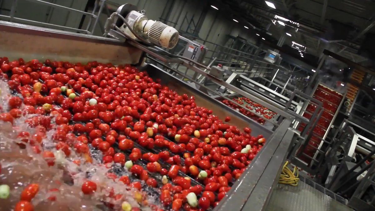 TOᗰᗩTO ᗯEᒪᒪᑎESS on Twitter "Get the scoop on Ingomar Packing Company