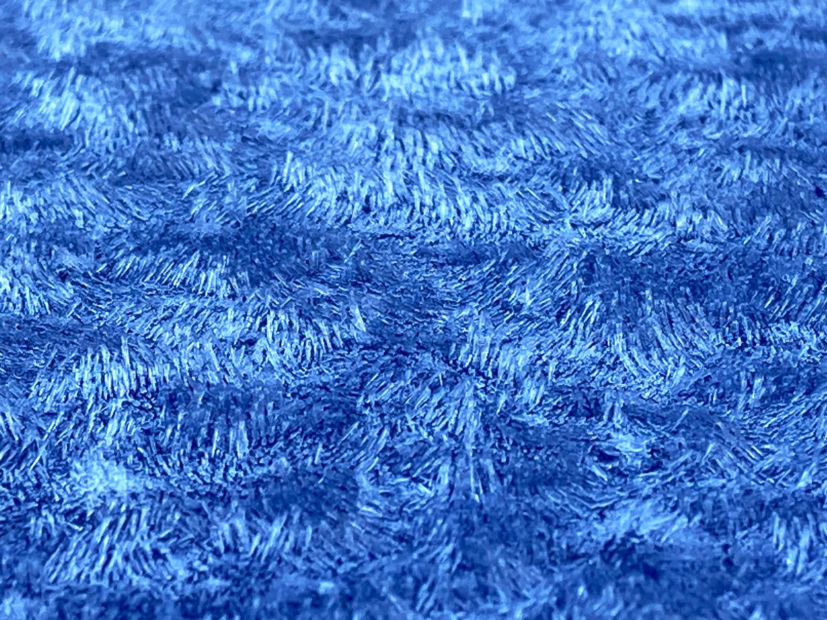 Daniel JT O'Malley tweet media