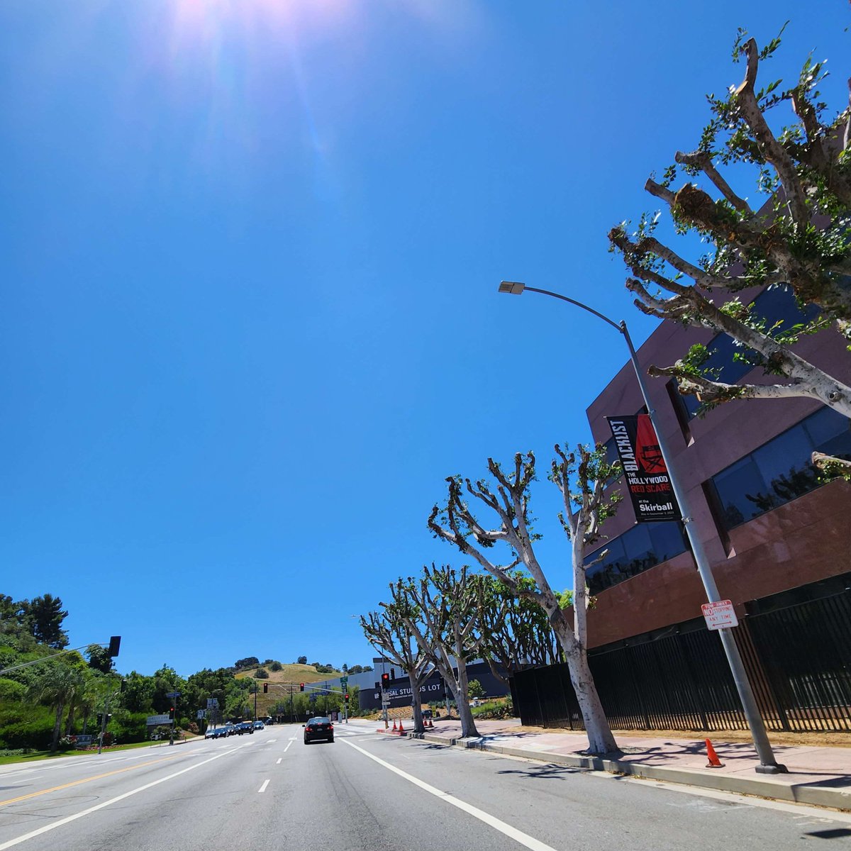 Our Office is investigating the tree trimming that occurred outside Universal Studios where workers, writers, and actors are exercising their right to picket. The trimmed trees are LA City managed street trees. (Before and after photos below)