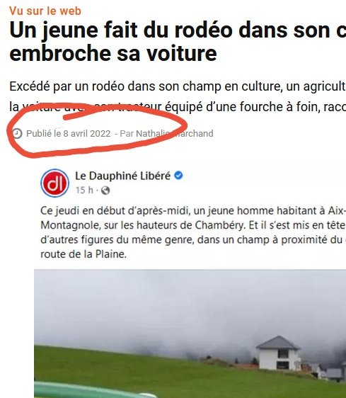 catanzano pascale tweet media