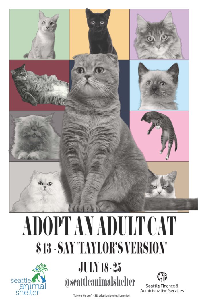 In honor of #TSTheErasTour coming to Seattle, the Seattle Animal Shelter will be offering $13 adult cat adoptions this week! We hope some Swifties coming into town will consider bringing a forever friend home with them to start their very own Love Story.