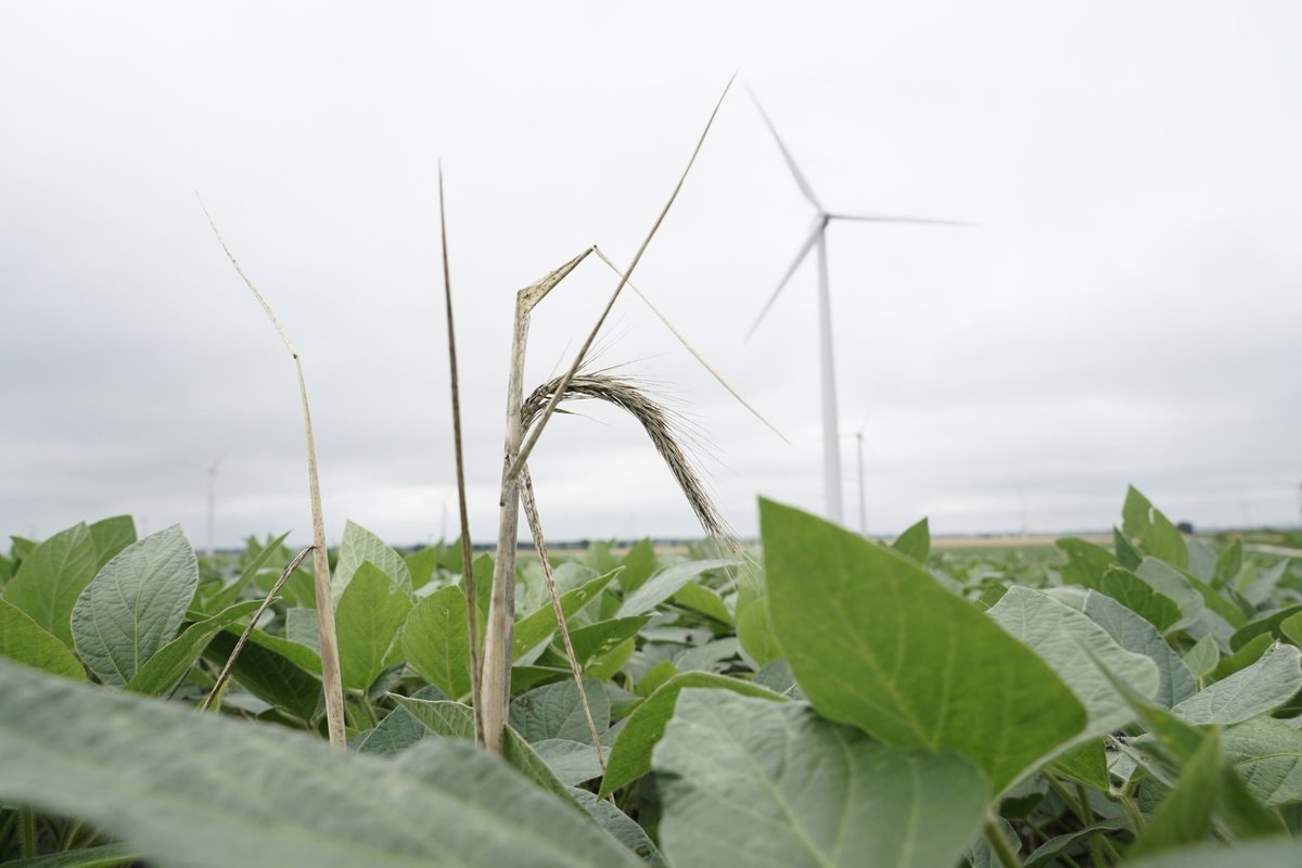 Farm fields don't just feed us. They store carbon. But a big question is how much buff.ly/3Q25vis