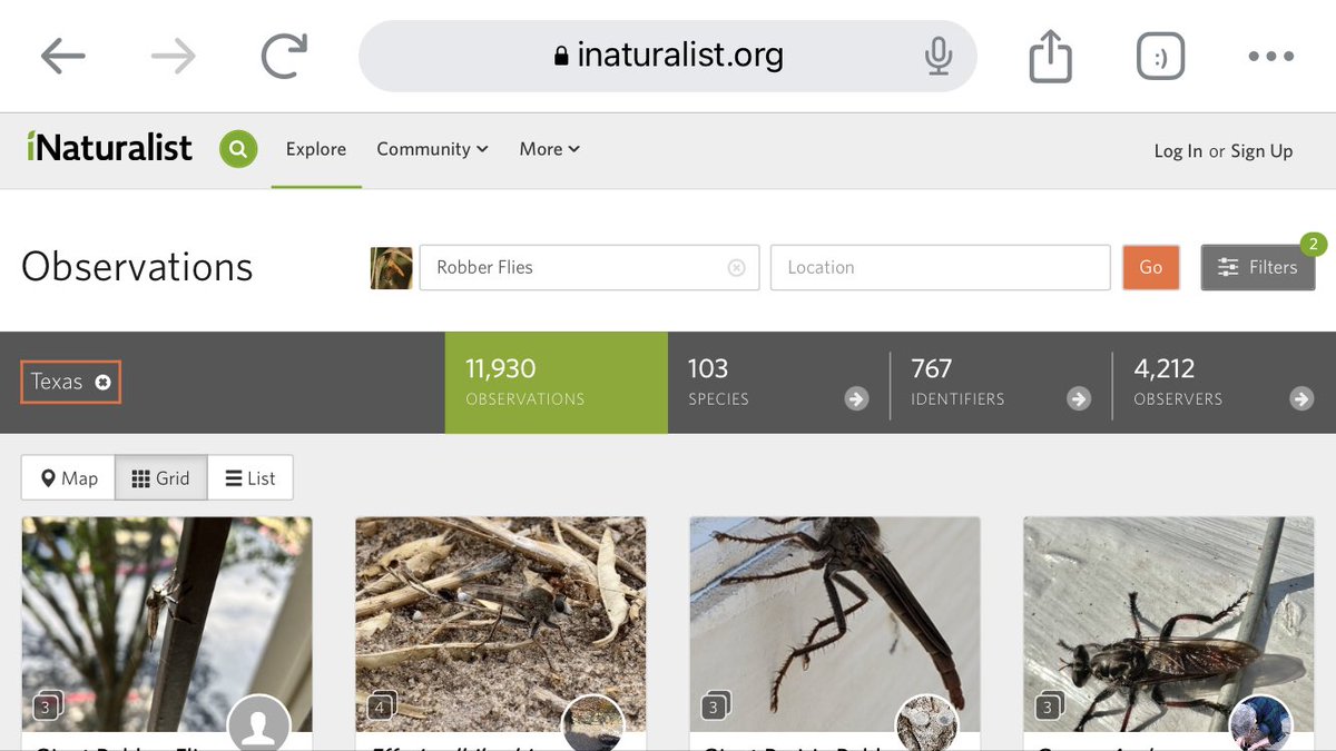 Mike Quinn 🐞 tweet media