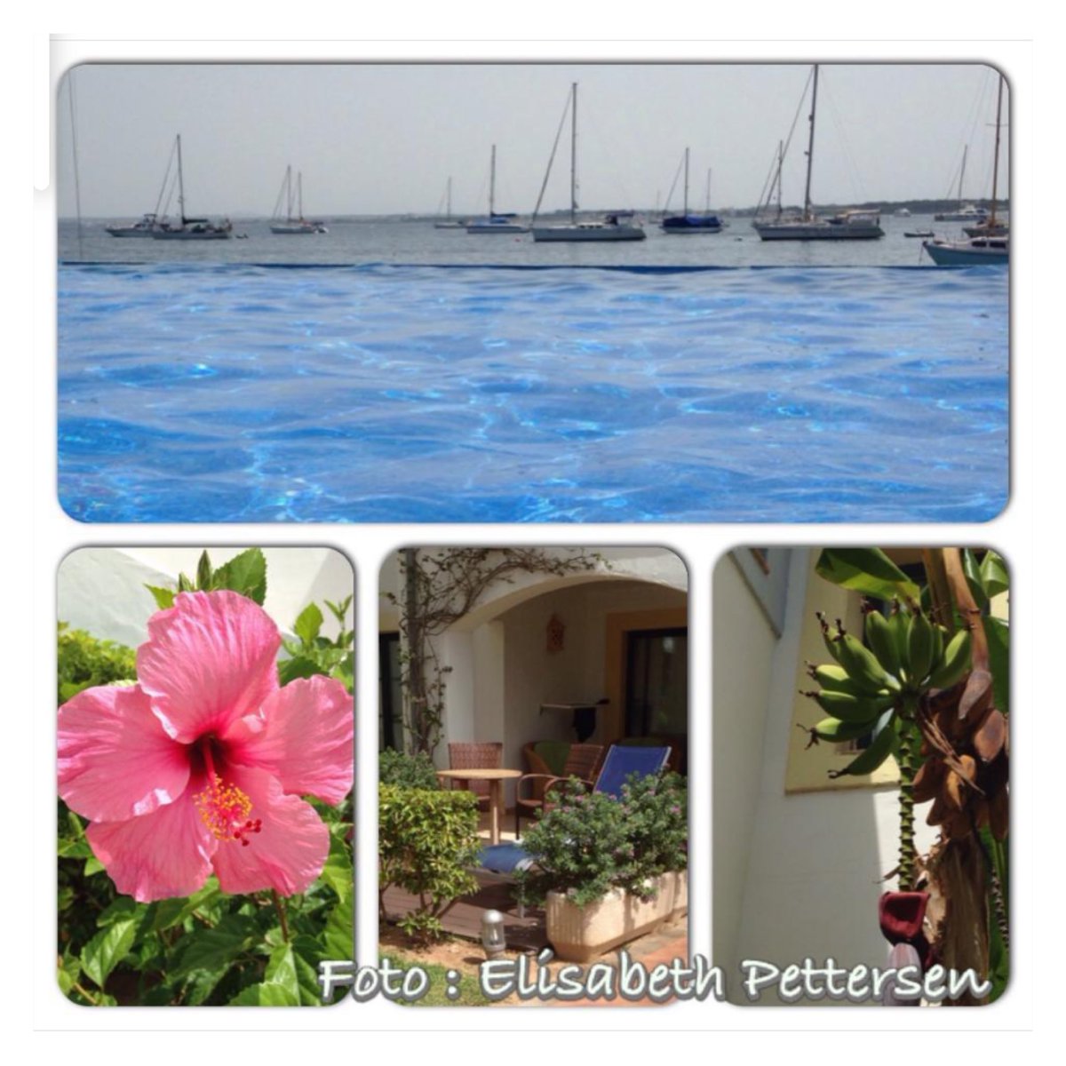 ElisabethPett19's tweet image. Minne i fra Mallorca 19 Juli 2014 ! Er spent på det blir samme Suite som to ganger før  i år ! #onemargarita #countryon #lukebryan #mallorca #spania