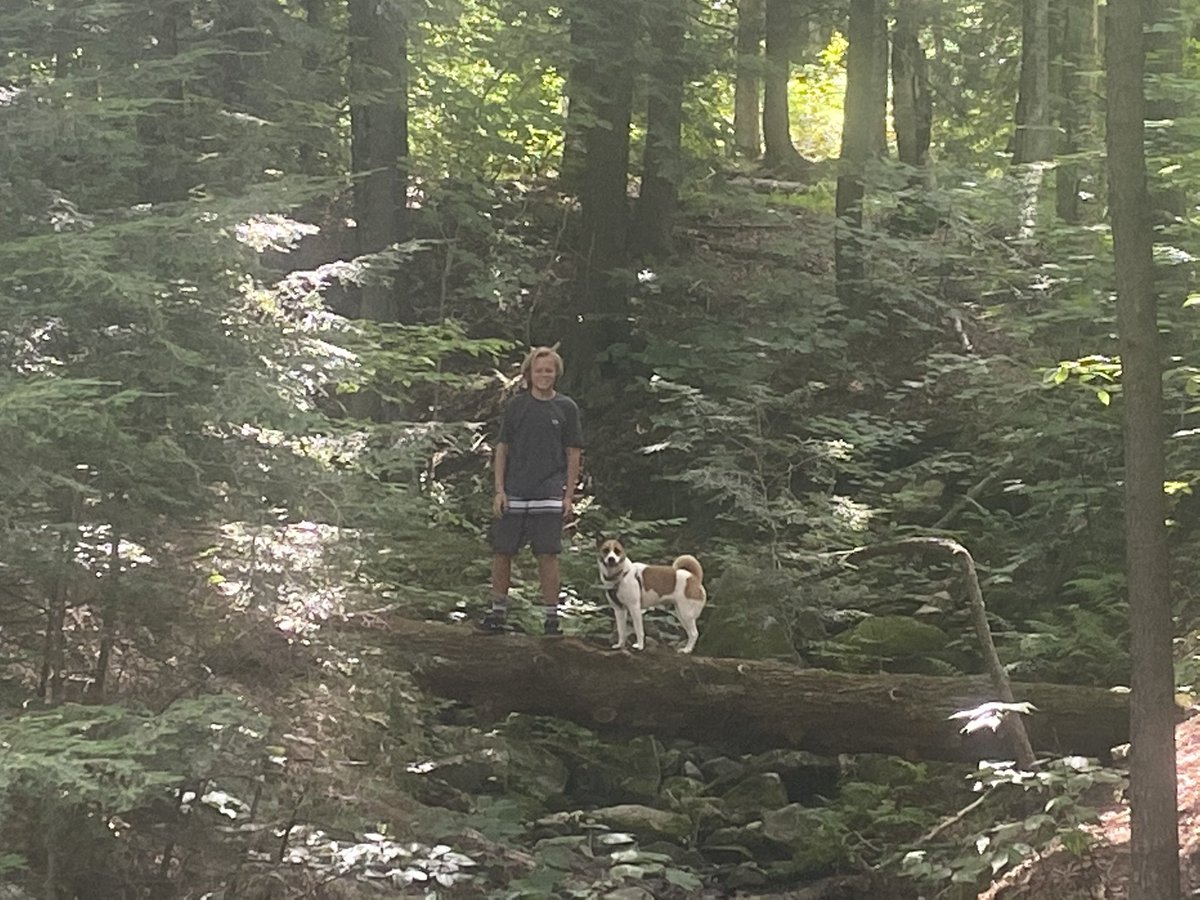Mizz_DLK's tweet photo. @bunsenbernerbmd Vermont❤️ https://t.co/WfCBnaP3zl