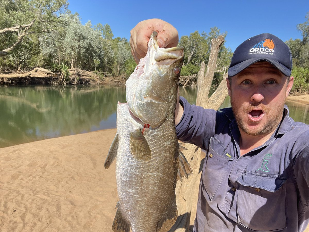 The Country Hour today broadcasting from Katherine #NT

🚗 Town is packed!
🎆Katherine Show starts Friday 
🐂Campdrafting action underway
🎶 Tom Curtain in the studio for some music

and the fish are biting!!!!!! 

Tune in from 12:30pm abc.net.au/listen/program…
