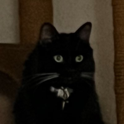 dismas182's tweet photo. https://t.co/Zr1Vl8MQST