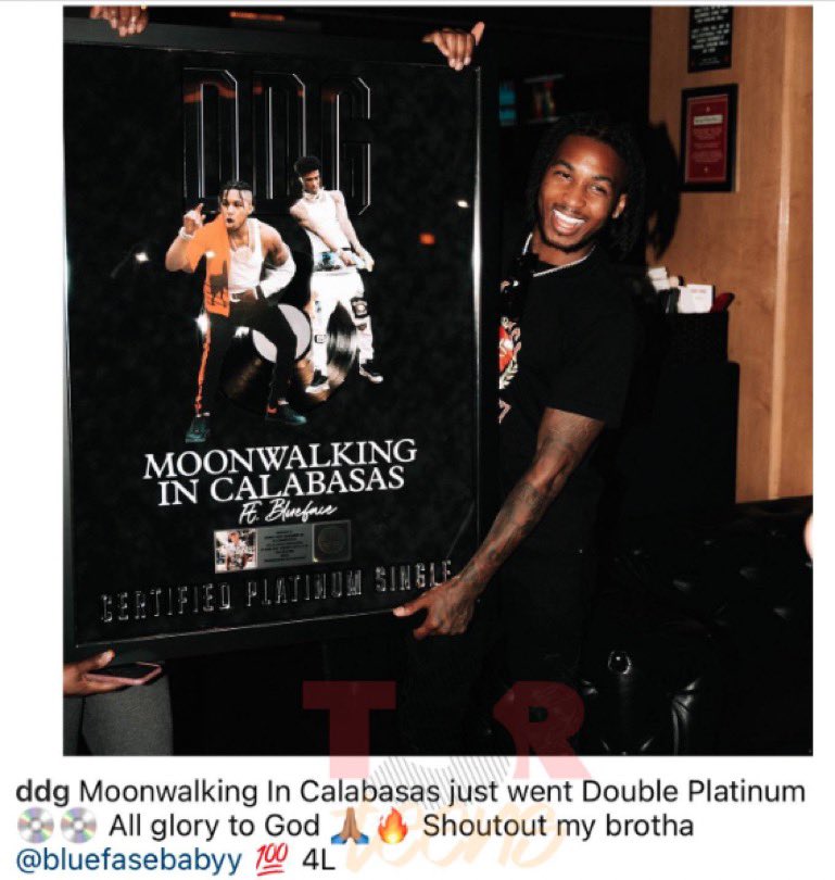 ryan 🤿 tweet media