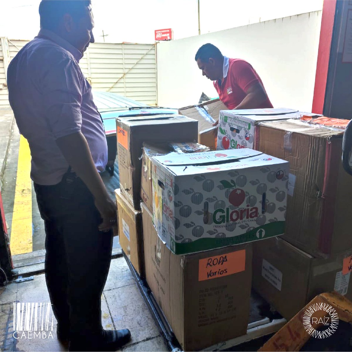 Fundación Raíz Ecuador - Caemba tweet media