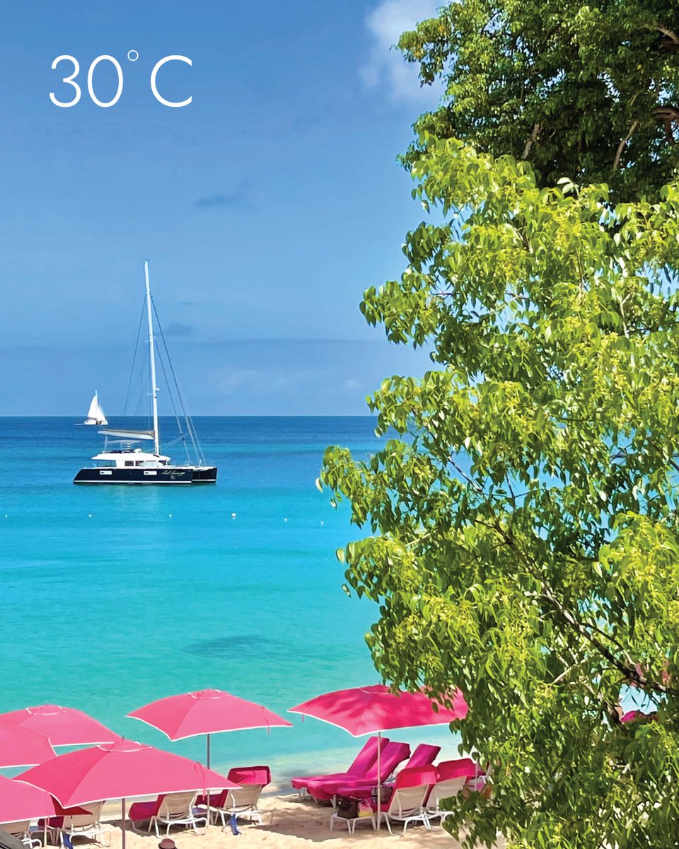 Sandy Lane Hotel tweet media