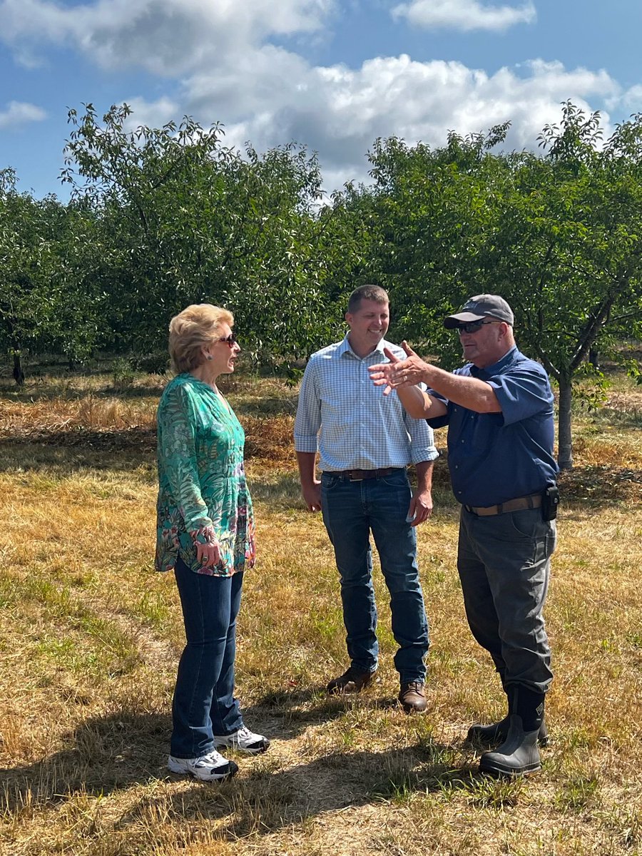 Sen. Debbie Stabenow tweet media