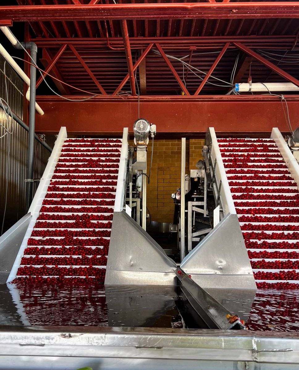 Sen. Debbie Stabenow tweet media