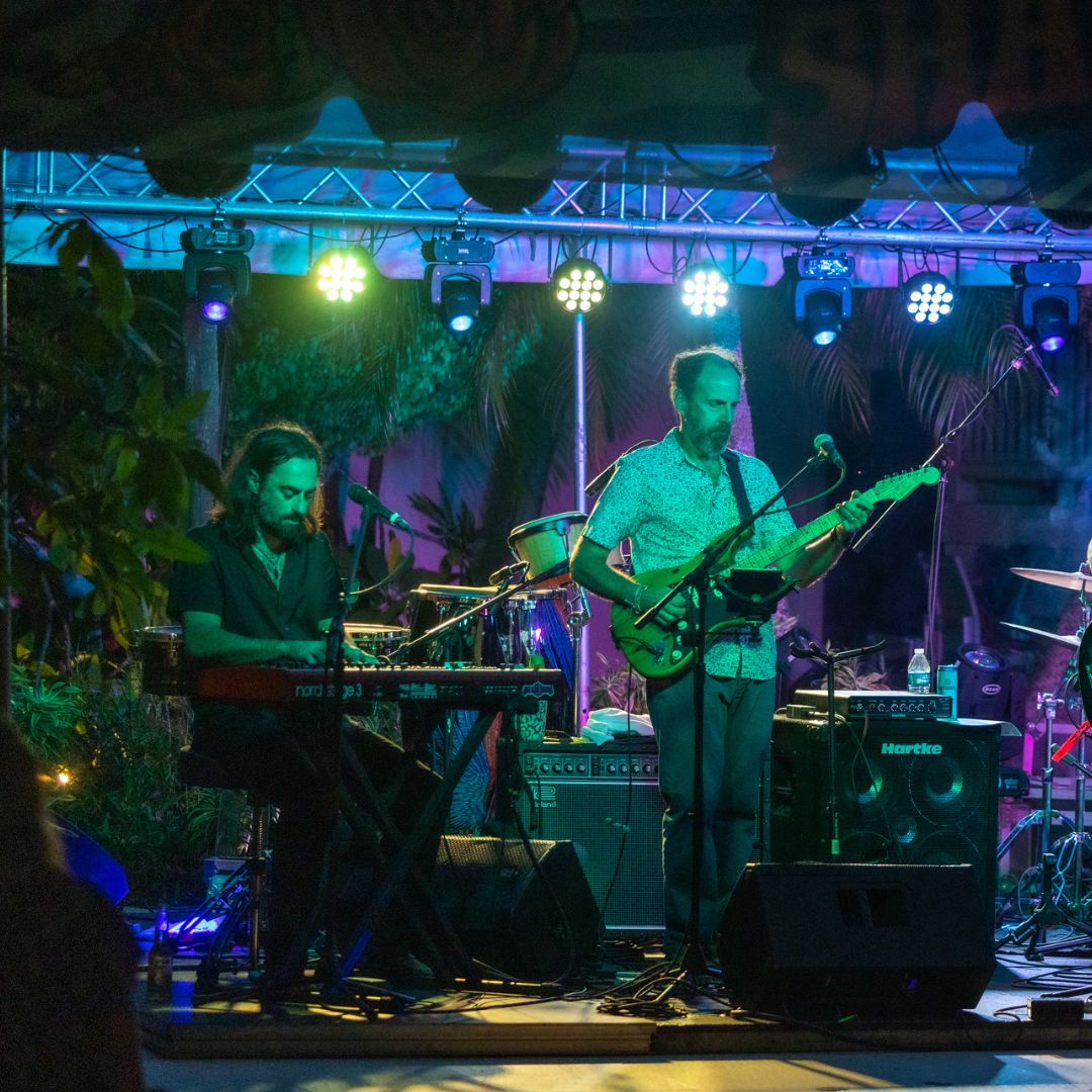 🎹 Get ready to be blown away by the incredible <a href="/stevemolitz/">Steve Molitz</a>! 🌴

Join us at Jungle Shakedown as Steve, the masterful keyboardist from <a href="/particlepeople/">particlepeople</a> , brings his electrifying tunes to The Dire Wolves🐺✨

Send us a DM today to secure your spot and be one of the lucky few🌿💫