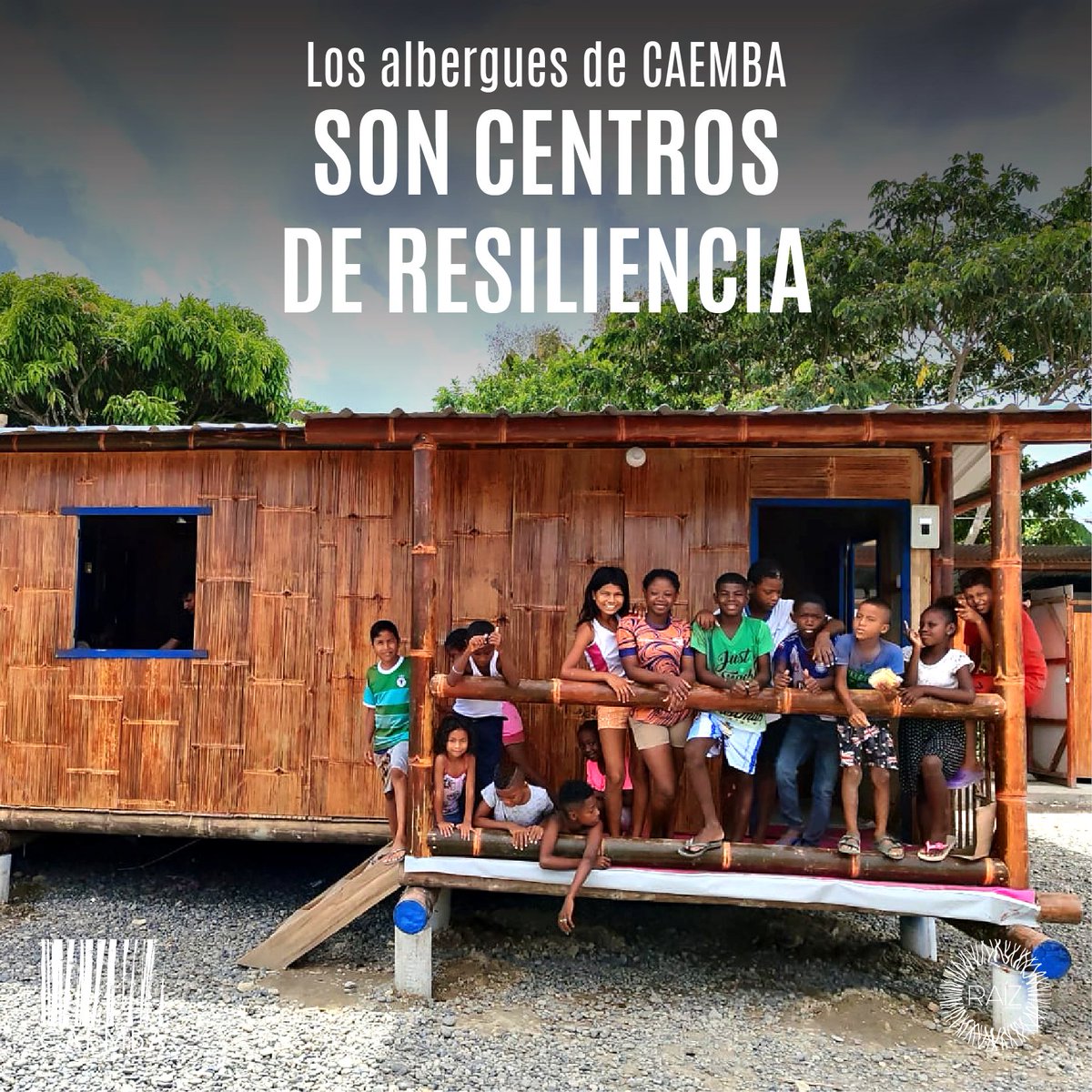 Fundación Raíz Ecuador - Caemba tweet media