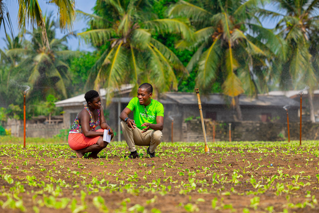 FeedtheFuture's tweet photo. .@IlssiTAMU's work in small-scale irrigation emphasizes research development in smallholder systems. Read how its Ethiopia workshop demonstrated how irrigated fodder &amp; groundwater governance foster sustainable practices: https://t.co/9sYKpbtyGy https://t.co/zzn4CcRAjx