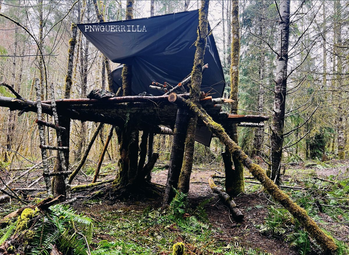 PNWGUERRILLA on X: 72 hours, pissing rain, you have to pick one Bushcraft  shelter to stay in. Which are you going with?  / X